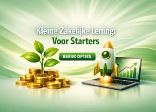 Kleine Zakelijke Lening Zonder BKR 2026